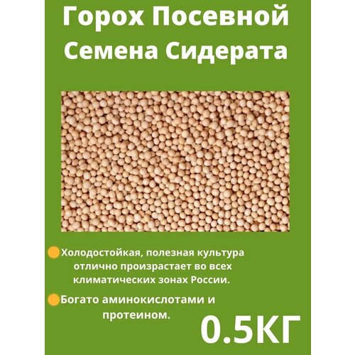 ���������� ������ ������ 0.5 ��