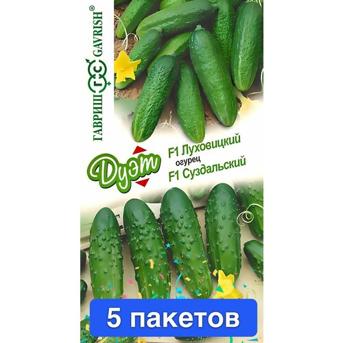 ���������� ������ ������ ������ 