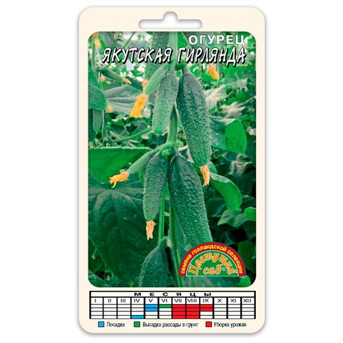 ���������� ������ �������� �������� F1 ������������� (������ �������� ��� 0,3 �)