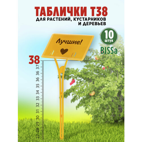 ���������� ������� �������� ��� ��������, Bissa �38, ������, 10 ��