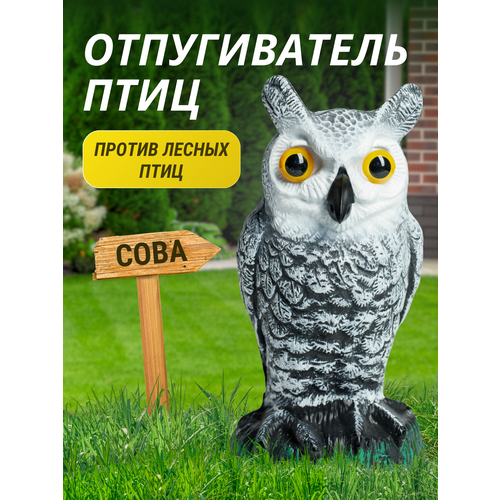 ���������� ������������ ���� ������� ����