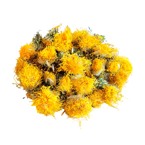 ���������� ������ ���������� ��������������