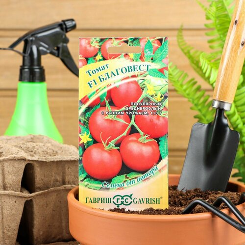 ���������� ������ ����� 