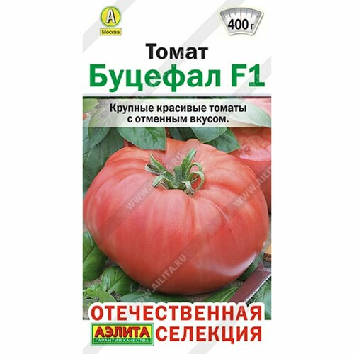 ���������� ������ ����� ������� F1 (������) 20�� ������������� ��������