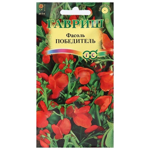 ���������� ������ ������ ������ ������� ������������ ���������� 5 ��.