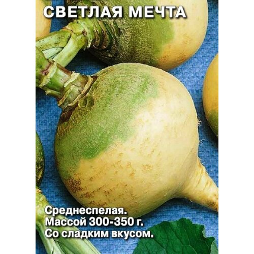 ���������� ������ ������ ������� �����