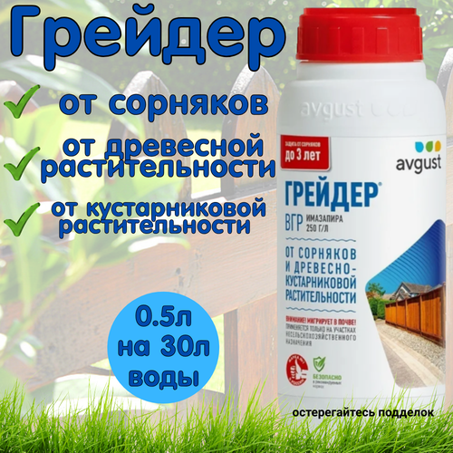 ���������� �������� �� �������� Avgust ������� 6�� 500 �� ������ �������� �� �������� ��������� ��������