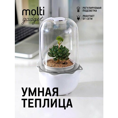 ���������� ����� �������, ��� ���� � �����, ��� ������ ���������, ���������� ����������, �����, ������� �� ����� ��� �������, ���������� �������