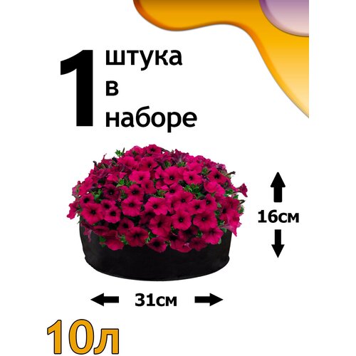���������� ������ ���� 10� - 1��