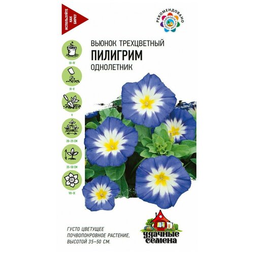 ���������� ������. ������ ����������� 