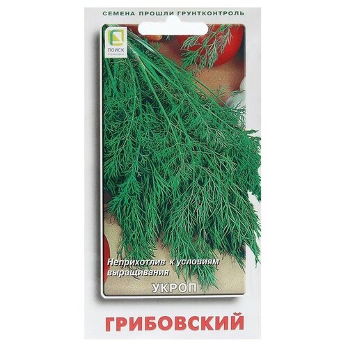 ���������� ������ ����� ���������� 3��.