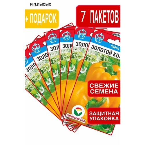 ���������� ������ ����� ������� �������