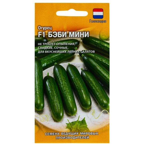 ���������� ������ ������ ������ ���� ���� F1 5 ��