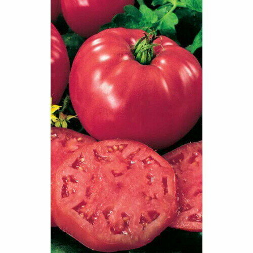 ���������� ������ ����� ������������ ���� (��) �/�