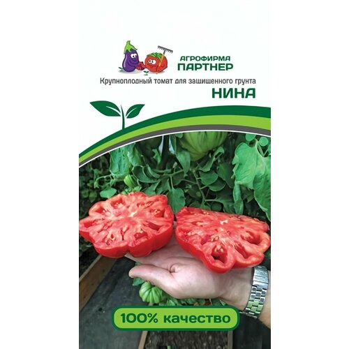 ���������� ������ ������ ��������� ������� 