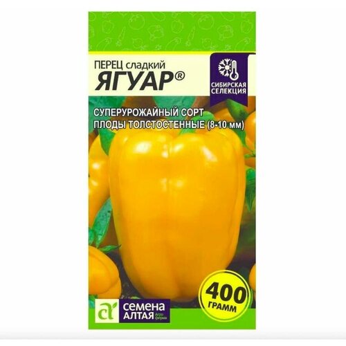 ���������� ������ ����� �������� �������������� 