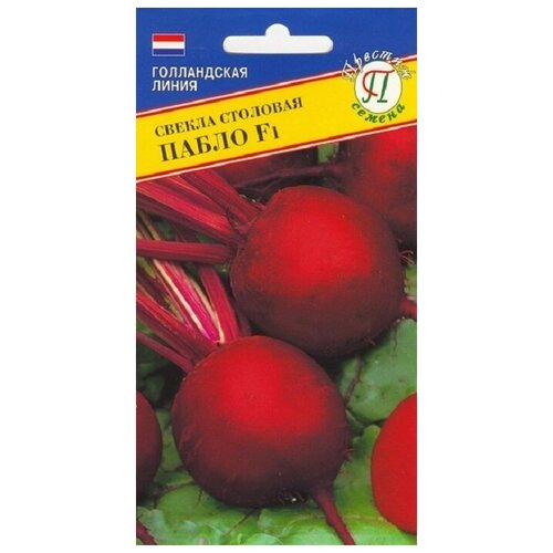 ���������� ������ ������ ����� F1 1� �������� (�������)