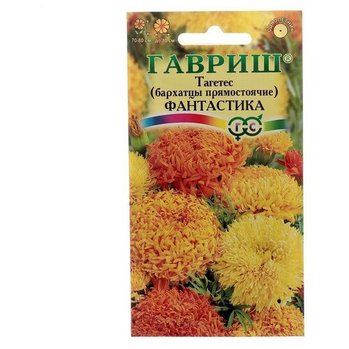 ���������� ������ ������ �������� ������������ 