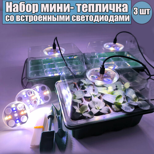 ���������� ���� ������ ��� �������. ���� ��������. ���������� ����������. ����� �� 3 ��.