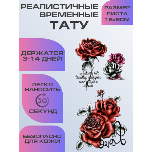 ���������� ���� ���������� ��������������, ��������� ����