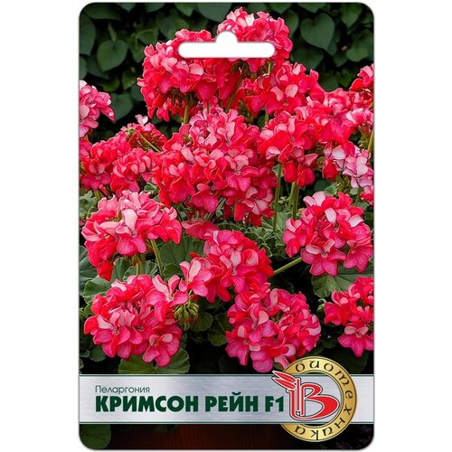 ���������� ������ ������ (����������) F1 ������� ���� 5 ���� ����� ����������