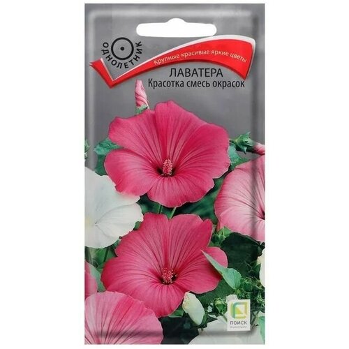 ���������� �������� �������� �����, 1 ������� 0,3 ��. �����, �����