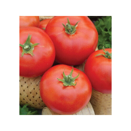 ���������� ������ ������� ������ F1 (0,1 ��.)