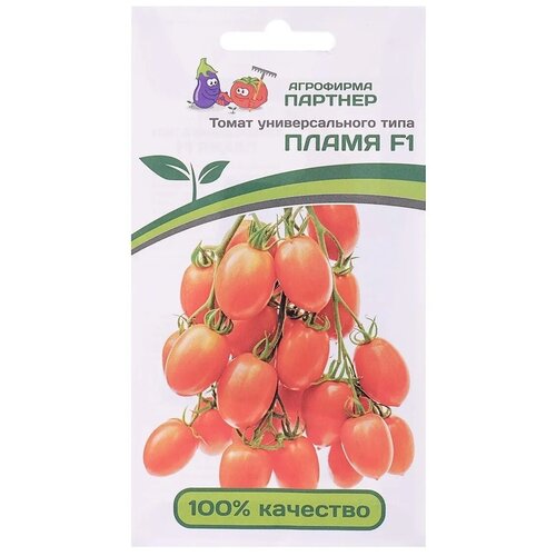 ���������� ������ ����� ����� F1 