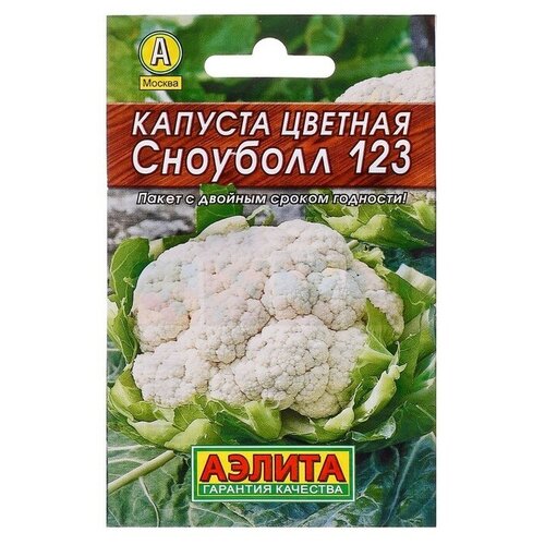 ���������� ������ ������� ������� 