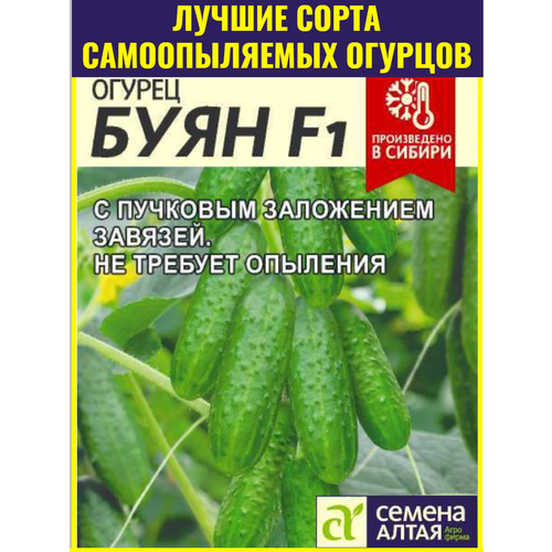 ���������� ������ ������������� ������� ���� F1 - 5 ��. ������ ����������������� �������� ��� ��������� ������ � ������