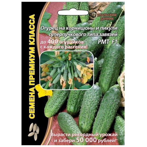 ���������� ������ ��������� ������ ������� ������ ��� F1 5 ��.