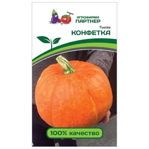 ���������� ������ ����� �������� /��������� �������/ 1 ��������, 5 �����