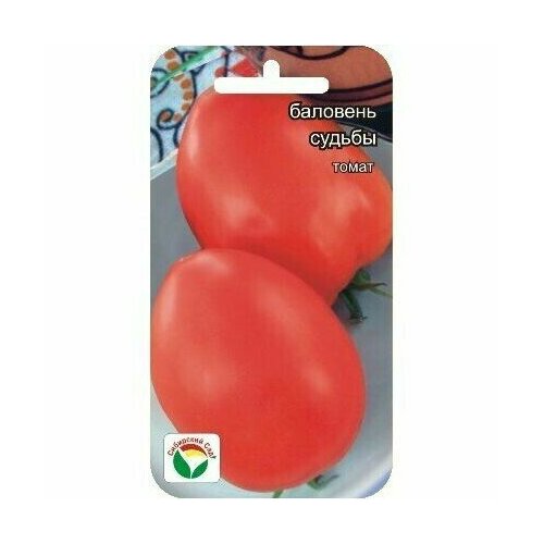 ���������� ������ ������ ��������� ��� 