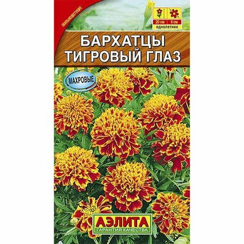 ���������� ������ �������� �������� ���� ����������, (������) 0,3�