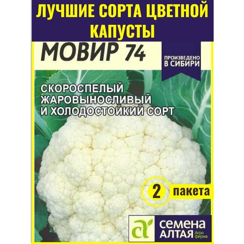 ���������� ������ ������� ������� ����� 74