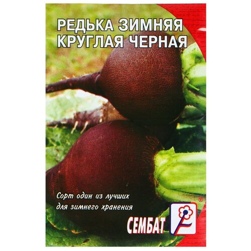 ���������� ������ ������ 