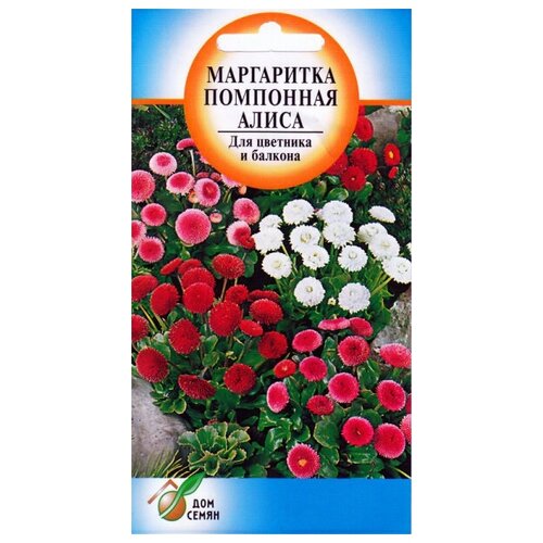 ���������� ���������� ����������� ��������� �����, 260 �����