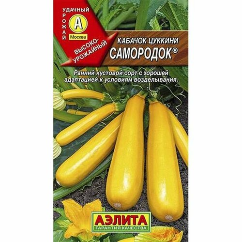 ���������� ������ ������� ��������� ������� (�����������) (������) 1�