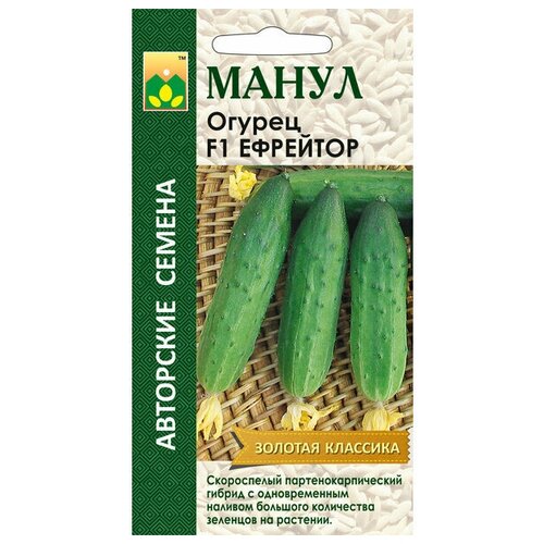 ���������� ������ ����� 