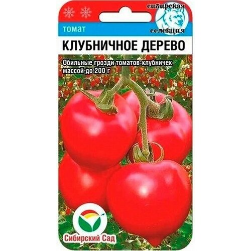 ���������� ����� ���������� ������ 20�� ��������� ���