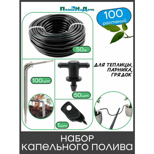 ���������� ����� ���������� ������ �� 100 �������� ��� �������, �������, ������