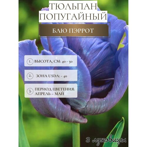 ���������� ������� �������� ����������� ������