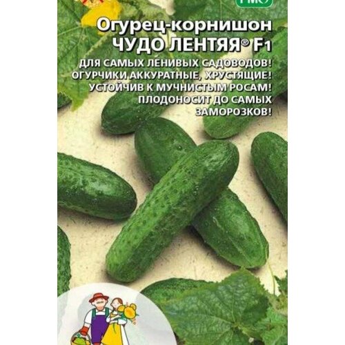 ���������� ������ ������ ���� ������ - �������� F1 (��) �/�