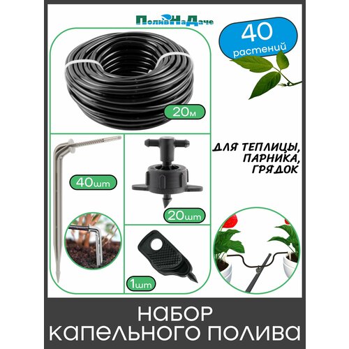 ���������� ����� ���������� ������ �� 40 �������� ��� �������, �������, ������
