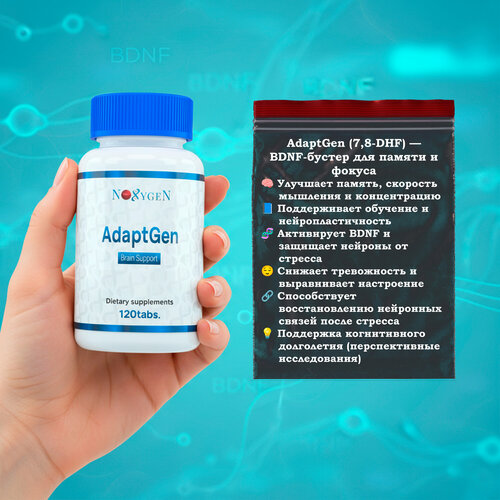 ���������� Noxygen AdaptGen 60 ����. ������� ���������� ���������, �������� �������� �����, ���������� � ����������� �������. ������������� ����������. ���������� �������� ��� �������������� ������ ����� � ��������� � ��������.