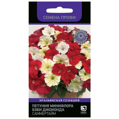 ���������� ������� ��������� ���� �������� ���������� (������ �����)