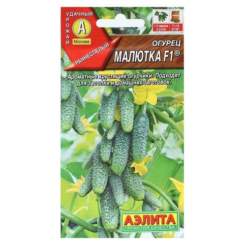 ���������� ������ ��������� ������ ������ �������, F1, 10 ��