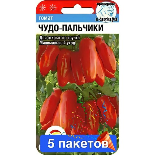 ���������� ����� ����-�������� 5 �������