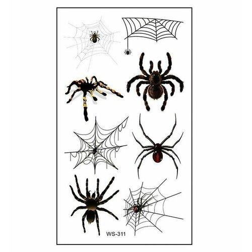 ���������� ���������� ���� ��������� ����� ��������