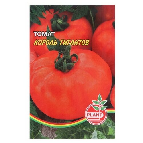 ���������� ����� ������ ��������, ������ ��������� ��� 20��